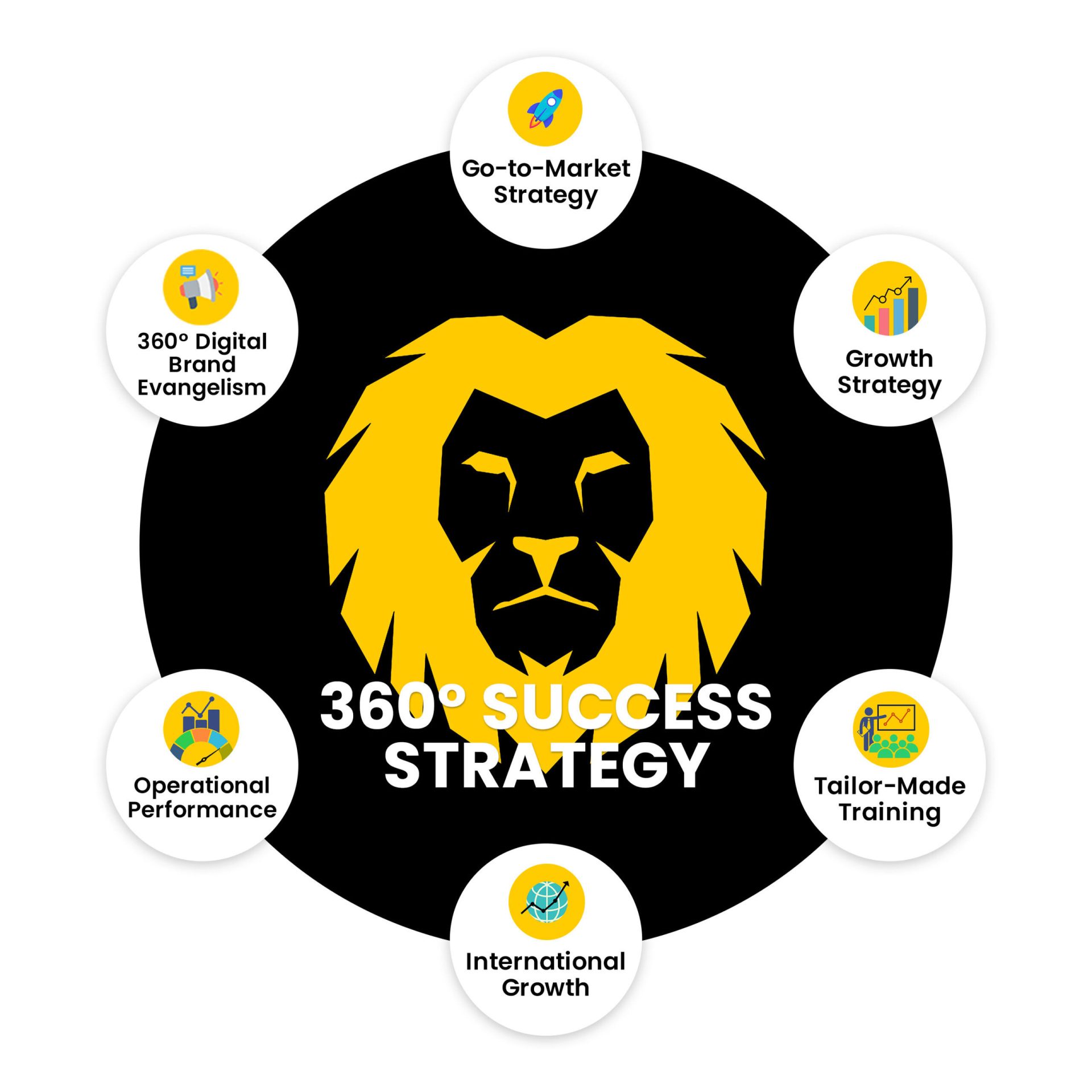 Damalion 360 Degree Success Strategy