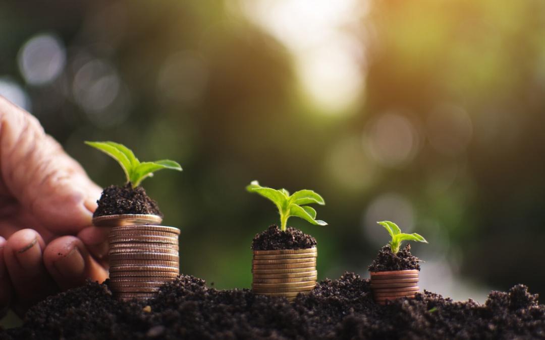 Reserveeritud alternatiivne investeerimisfond ja kuidas luua RAIF Luksemburgis