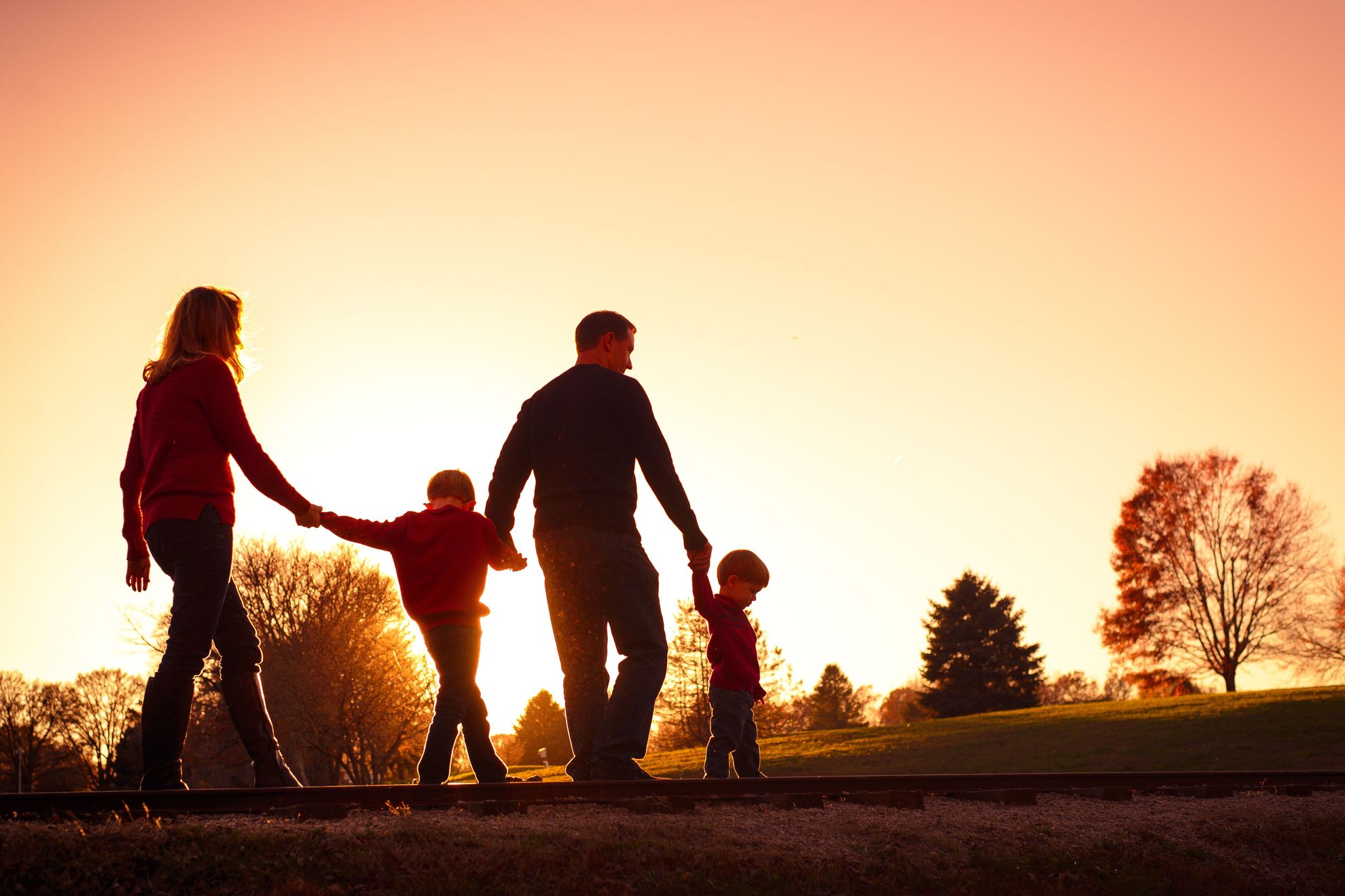 Discretionary family trust