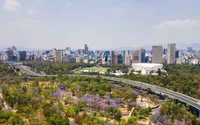 メキシコでRFC番号（Registro Federal De Contribuyentes）を取得する。