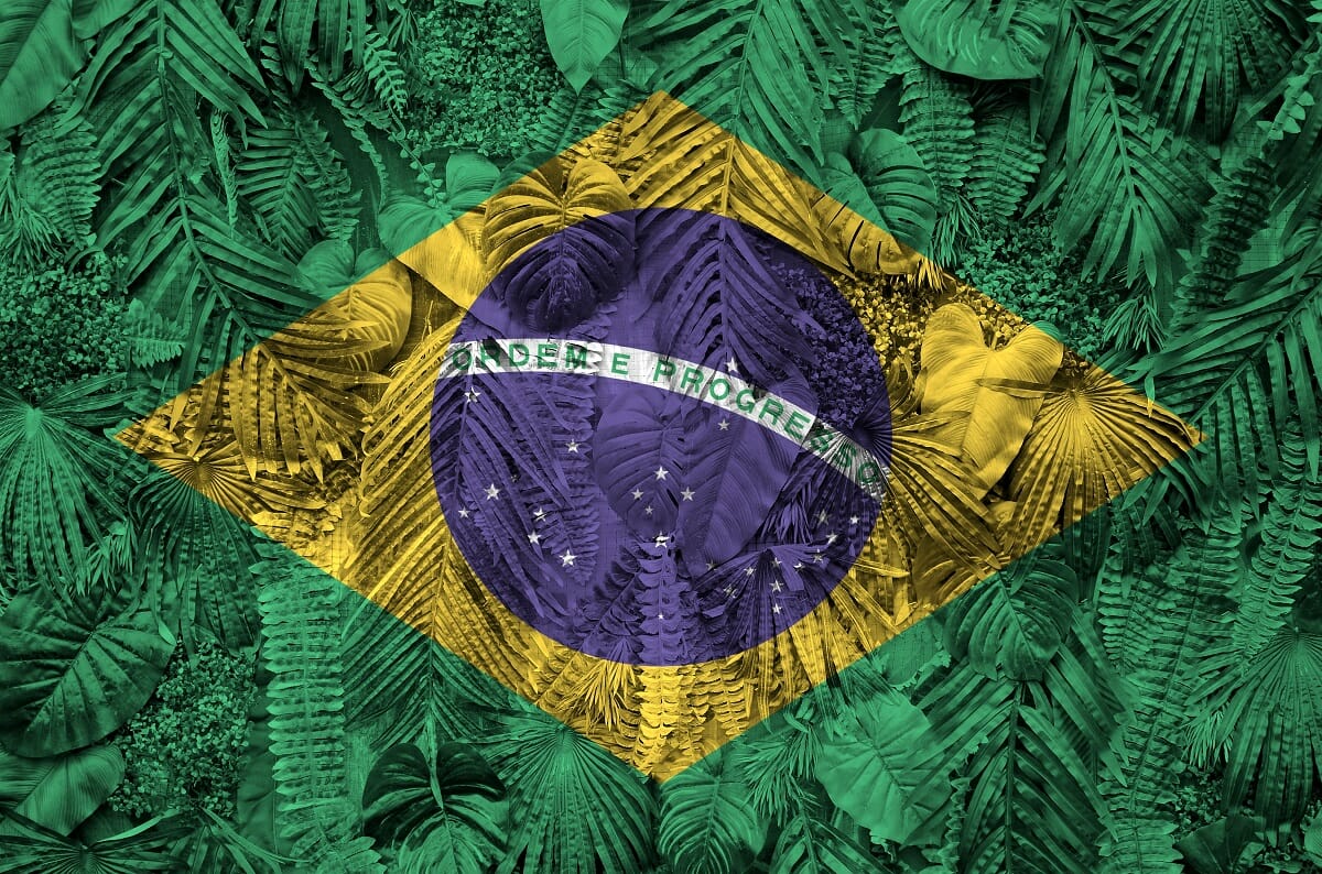 COP 27 COP 30 in 2025 Lula da Silva Brazil