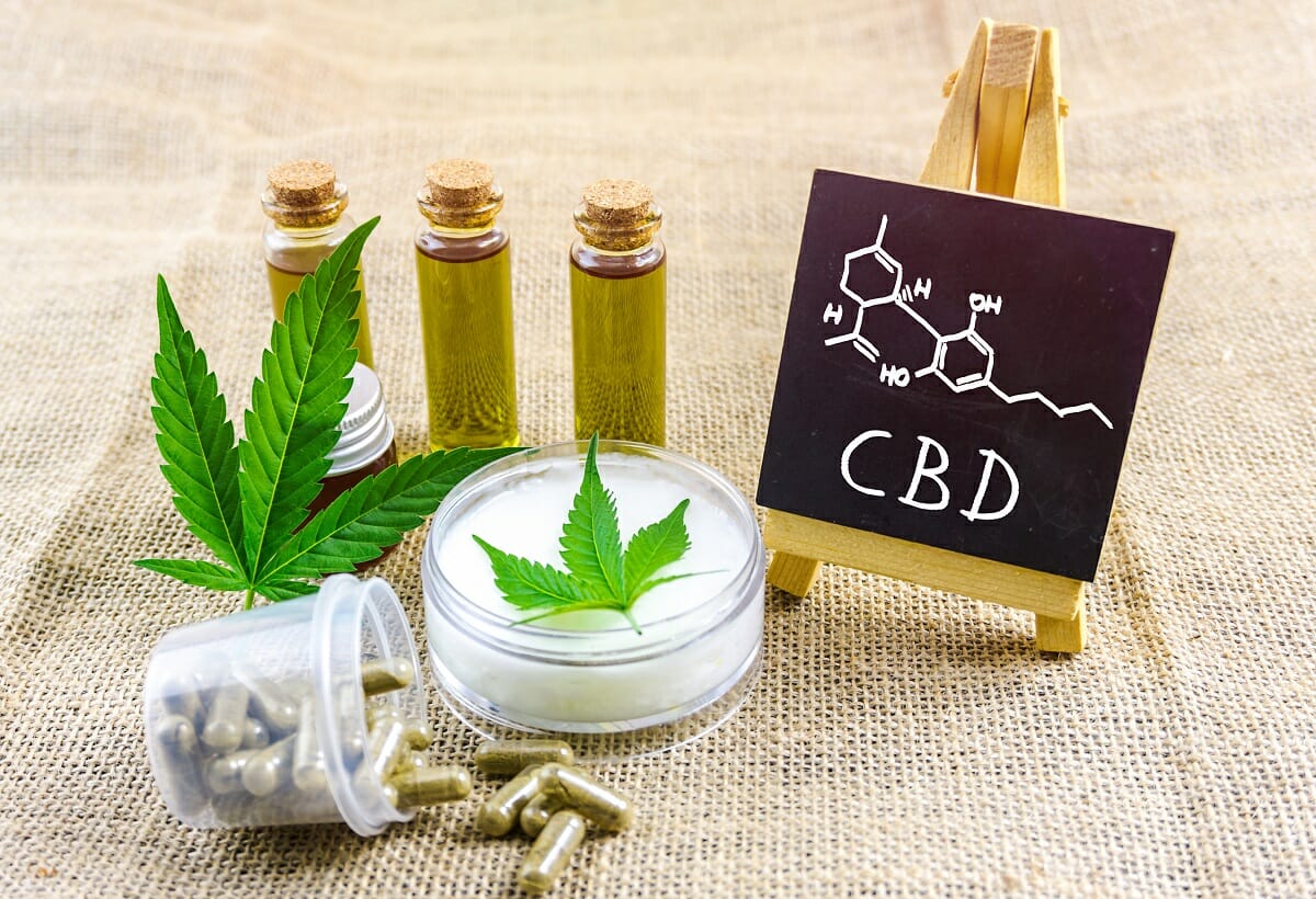 Foreign entrepreneurs understand the Cannabis regulations in Poland vs the Czech Republic 