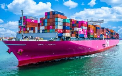 Starting your Export-Import business in Luxembourg: a step-by-step guide”