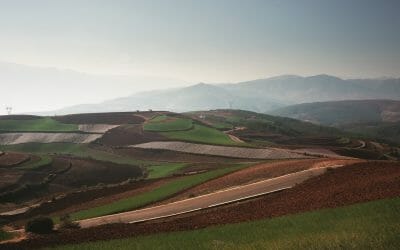 中国の農村活性化戦略は農業発展を後押しする