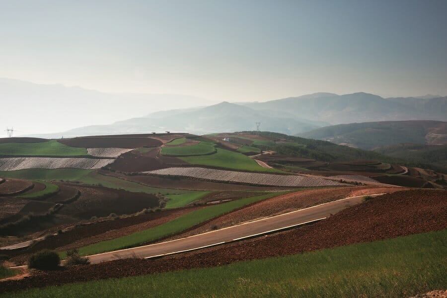 China's Rural Vitalization Strategy Boosts Agricultural Development