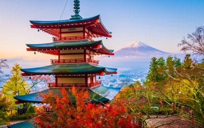 久仁亲王成为日本 40 年来首位成年男性皇室成员