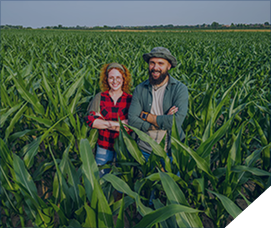 agriculture damalion advertising global