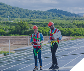 energy damalion advertising global