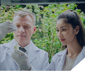 lifescience damalion advertising global